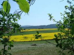 Resize of DSC01998.JPG